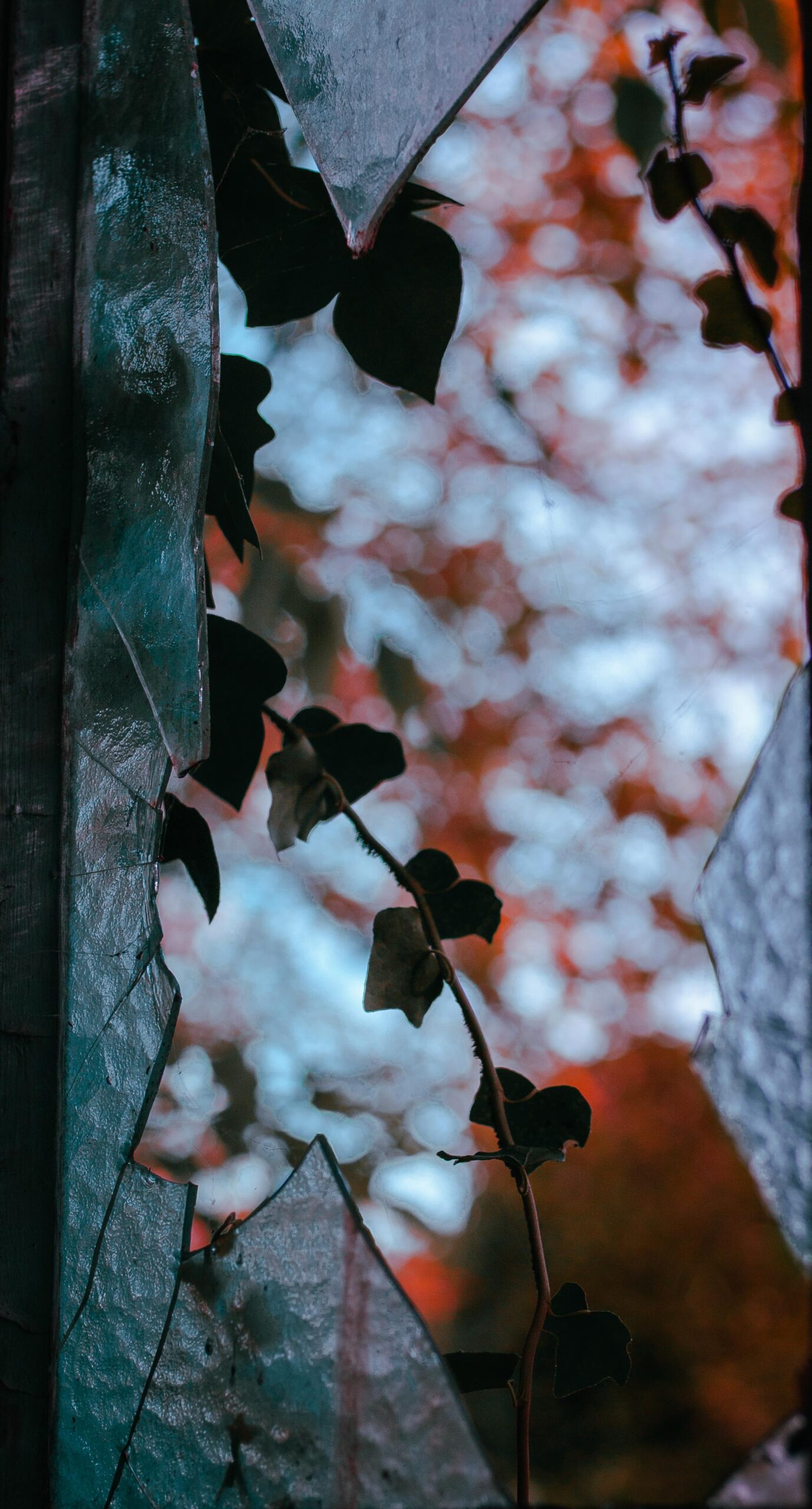 Urbex - Canon EOS 1000D - ISO-200 - 1/800s - F/2.8 - 50mm