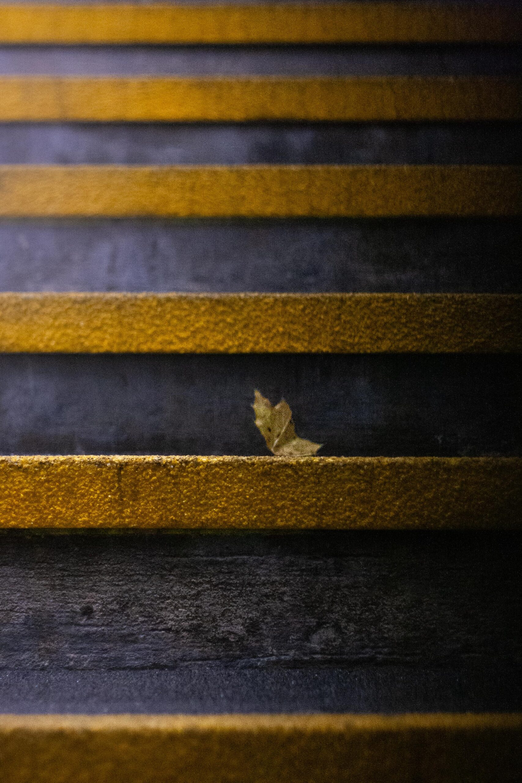 Escaliers de gare - Canon EOS 1000D - ISO-1600 - 1/1250s - F/1.8 - 50mm